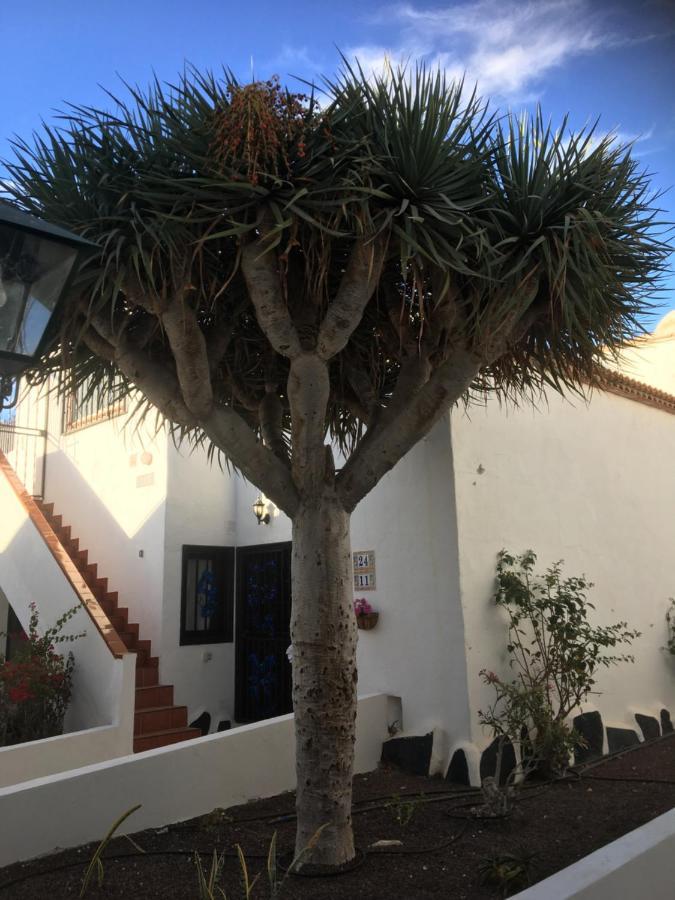 Tenerife Costa Del Silencio Exterior photo